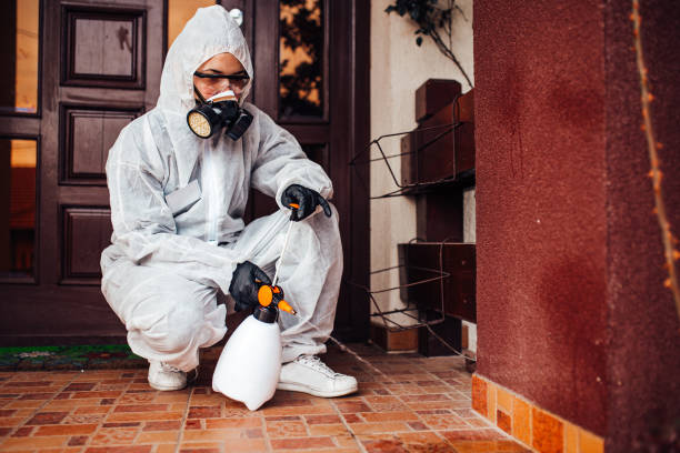 Attic and Crawl Space Rodent Treatment in Auburn